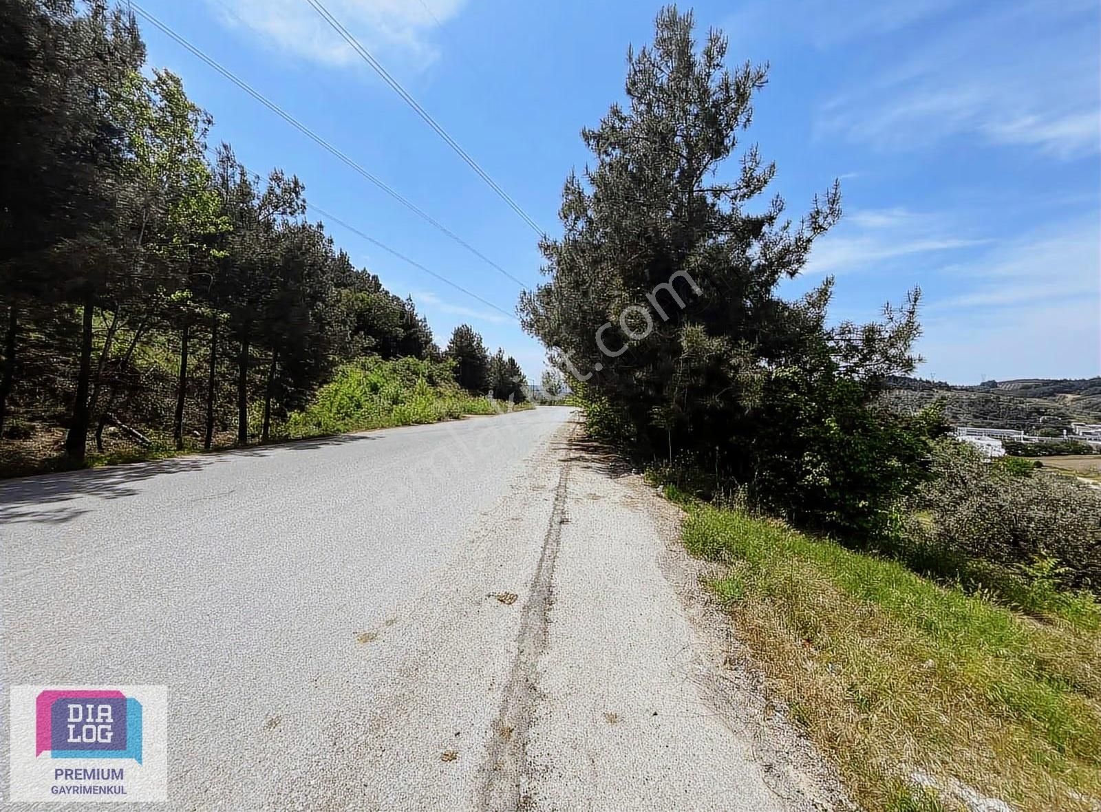 Dialog Premıum'dan Osmangazi Alaşar'da Satılık Tarla