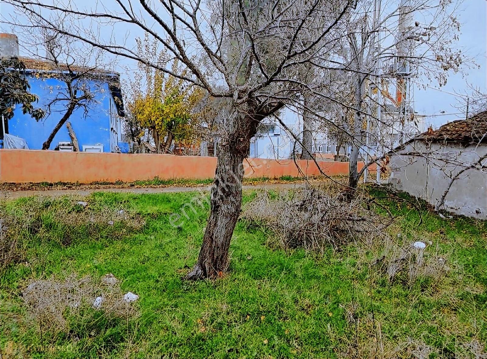 Çanakkale Civler Köyünde Müstakil Tapulu Köy Evi Arsası - Görsel 13