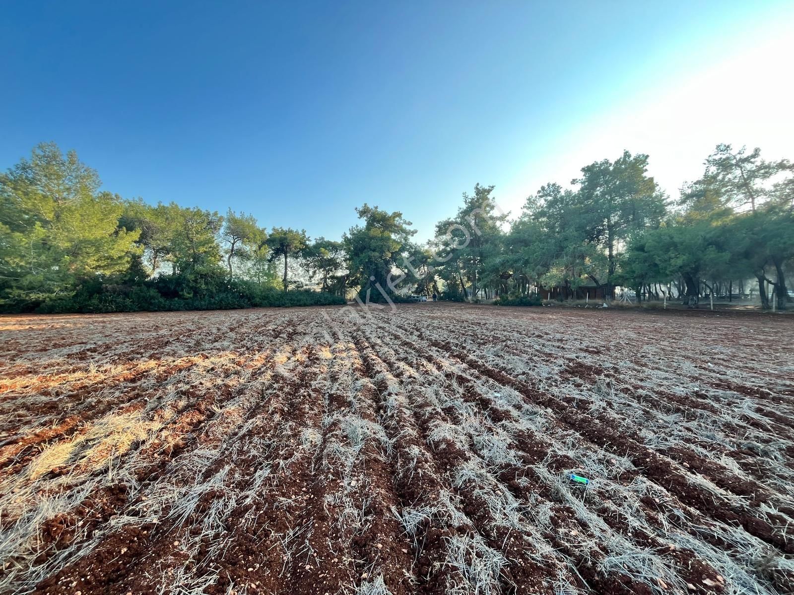 Sarıçam Mustafalar'da 2. 447 M2 Muhafakatnamesi Alınmış Satışa Hazır Satılık Tarla