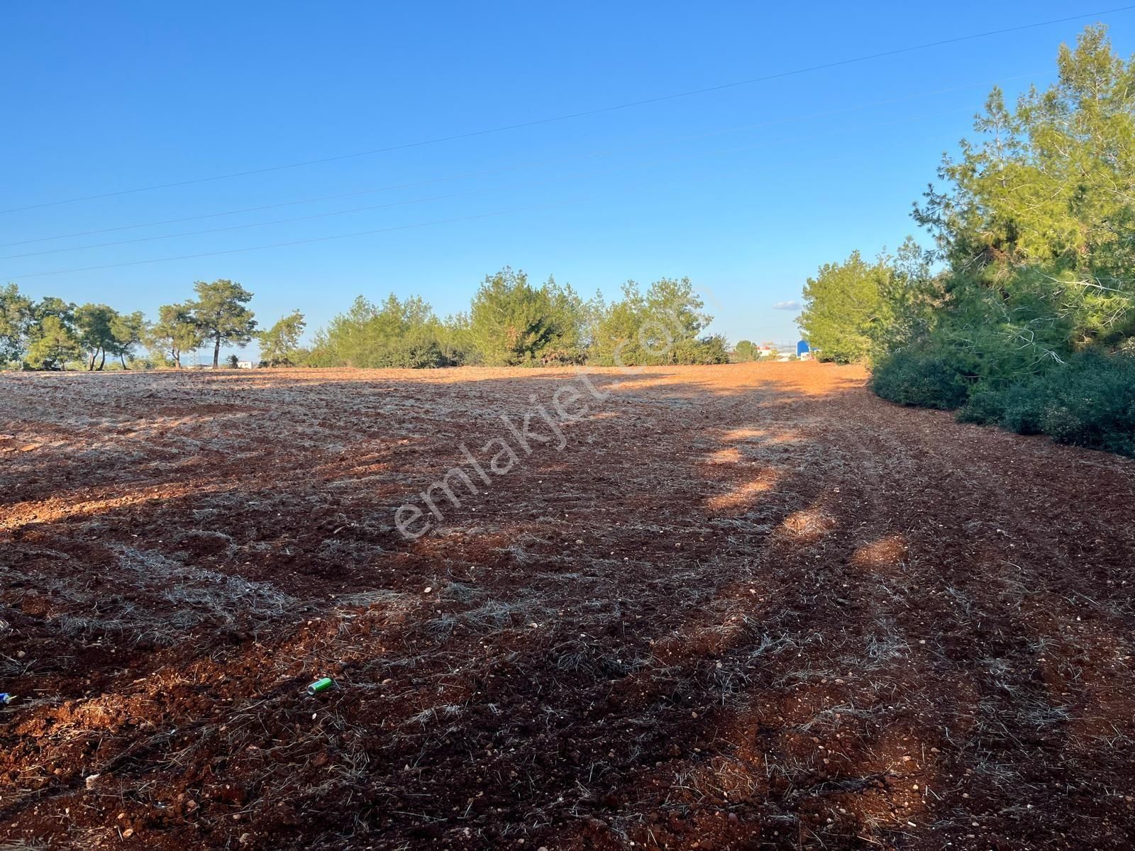 Sarıçam Mustafalar'da 2. 447 M2 Muhafakatnamesi Alınmış Satışa Hazır Satılık Tarla - Görsel 6