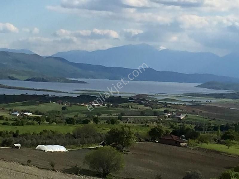 Manisa Köprübaşı İlçesinde Baraj Manzaralı 17 Dönüm Zeytinlik - Görsel 9