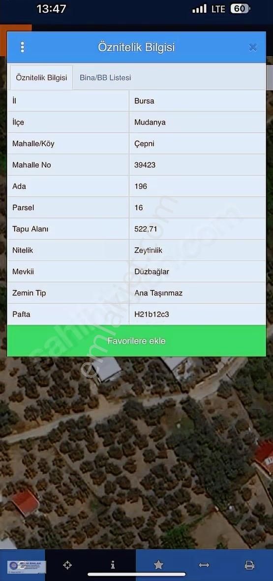 Bursa Mudanya Çepnide Villaların Arasnda Satılık 522m2 Zeytinlik - Görsel 4
