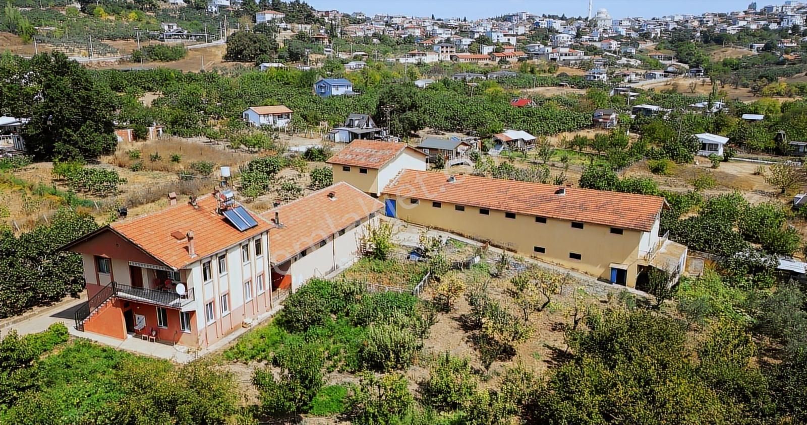 Bursa Osmangazi Gündoğdu Da Satılık Muhteşem Bir Çiftlik - Görsel 24