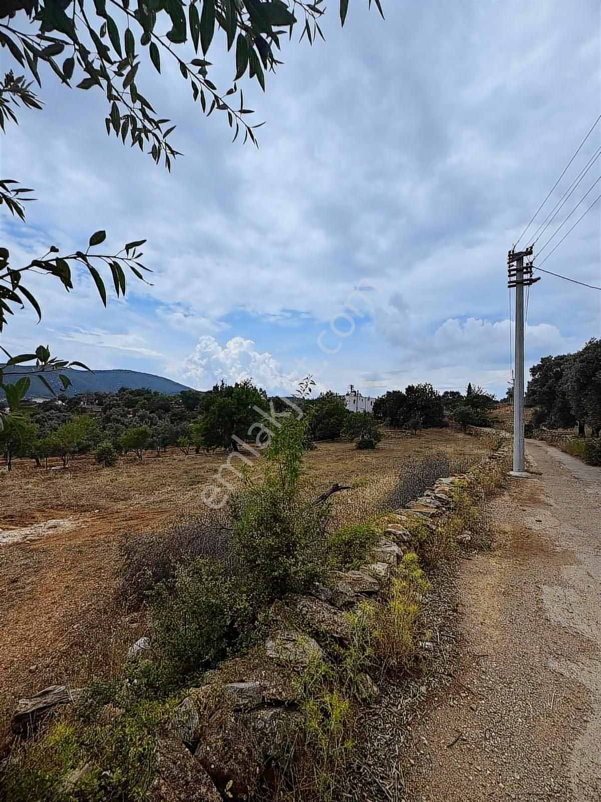 Bodrum Yalıçiflik'te Satılık Kupon Arsa