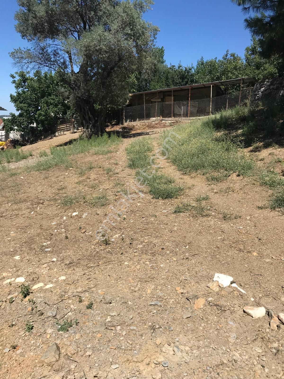 Sahibinden Çok Acil Satılık Fırsat Tek Tapu 1428 M2 Arsa - Görsel 2