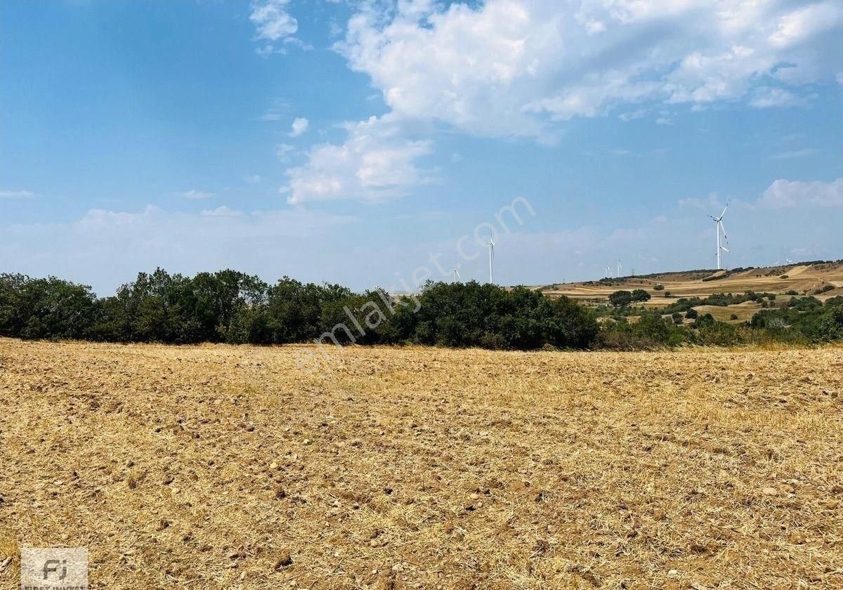 Silivri Çanta-balaban'da Satılık 2672 Metrekare İyi Konumda Tarla