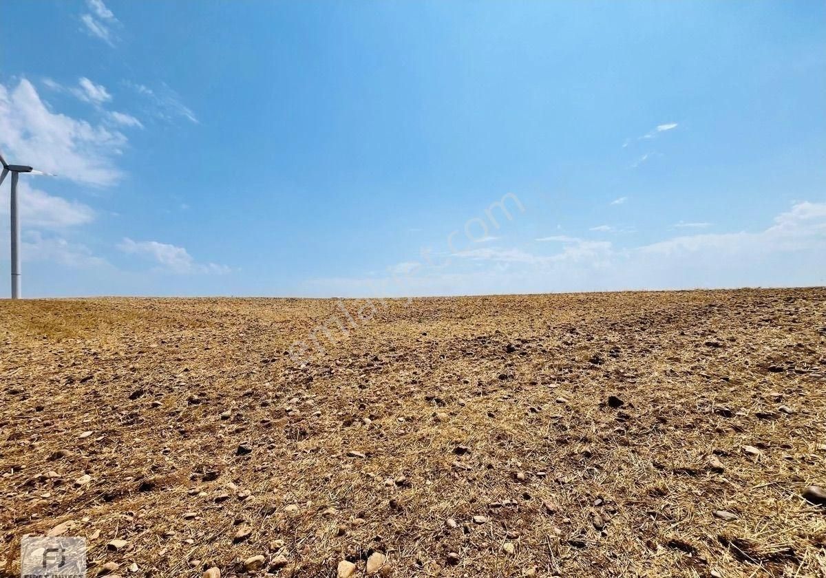 Silivri Çanta-balaban'da Satılık 2672 Metrekare İyi Konumda Tarla - Görsel 2