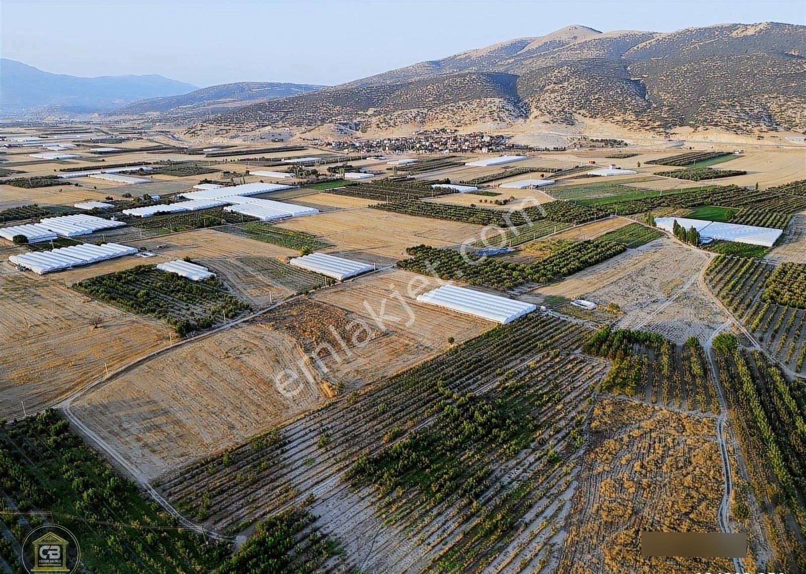 Yakaçiftlik Mahallesinde 10.230 M² Bakımlı Elma Bahçesi Satılıktır - Görsel 7