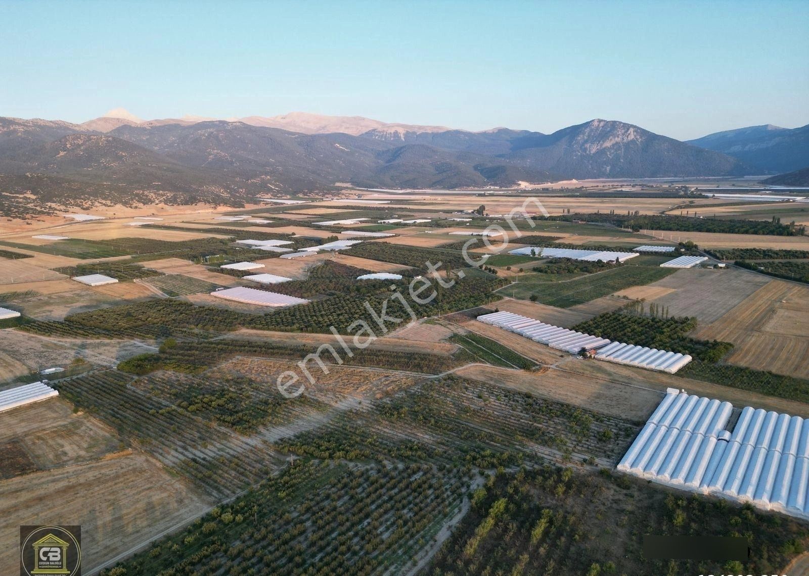 Yakaçiftlik Mahallesinde 10.230 M² Bakımlı Elma Bahçesi Satılıktır - Görsel 13