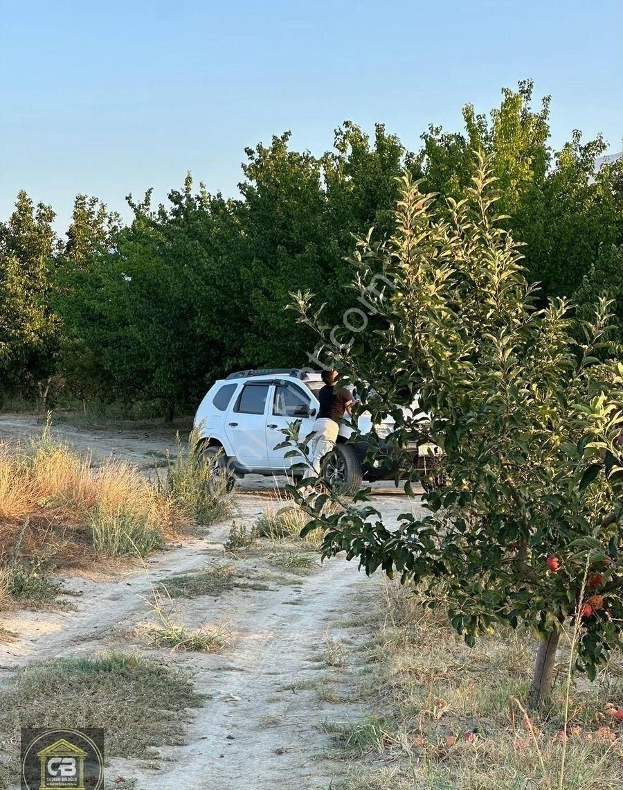 Yakaçiftlik Mahallesinde 10.230 M² Bakımlı Elma Bahçesi Satılıktır - Görsel 14