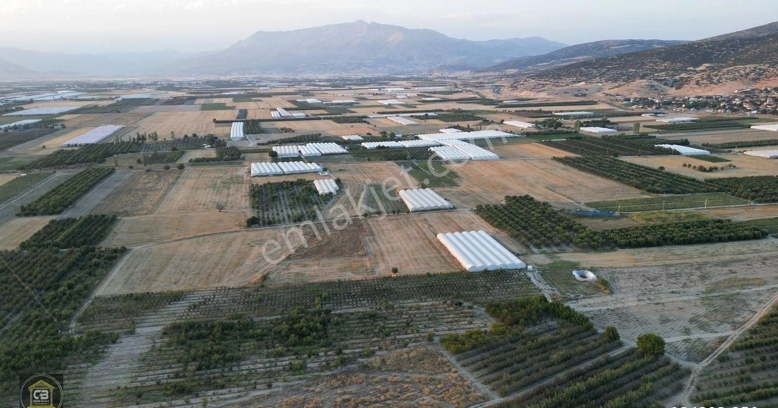 Yakaçiftlik Mahallesinde 10.230 M² Bakımlı Elma Bahçesi Satılıktır - Görsel 20