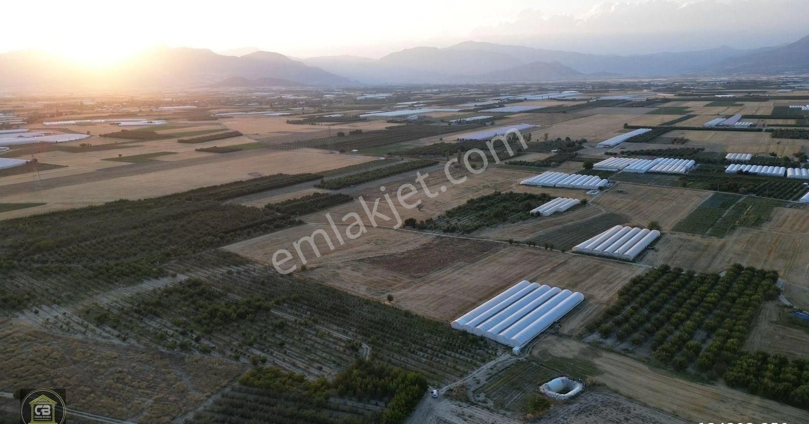 Yakaçiftlik Mahallesinde 10.230 M² Bakımlı Elma Bahçesi Satılıktır - Görsel 10