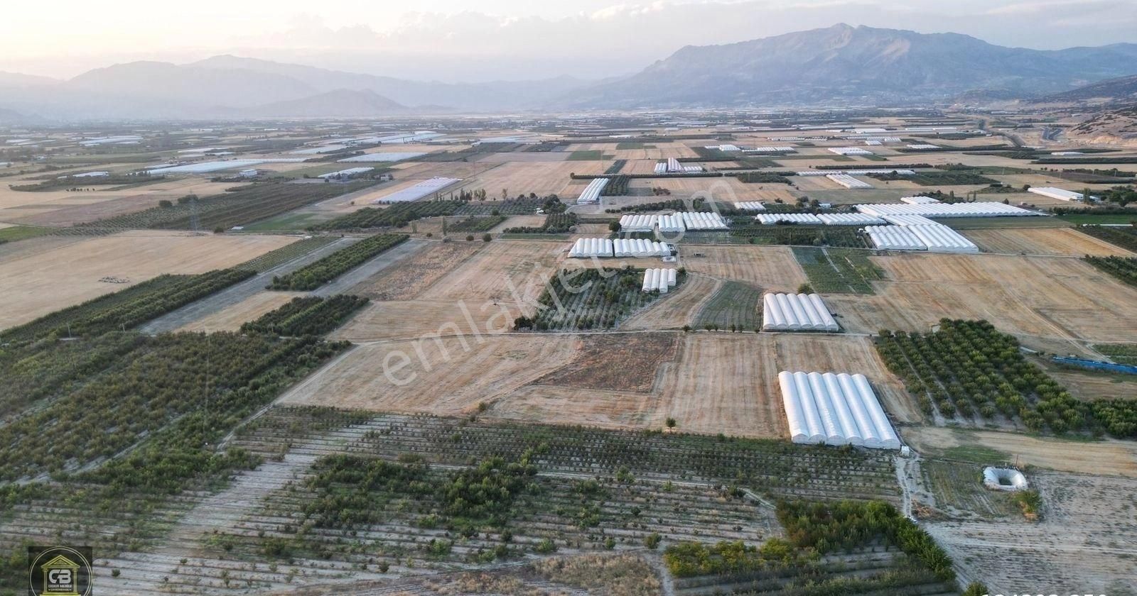 Yakaçiftlik Mahallesinde 10.230 M² Bakımlı Elma Bahçesi Satılıktır - Görsel 17