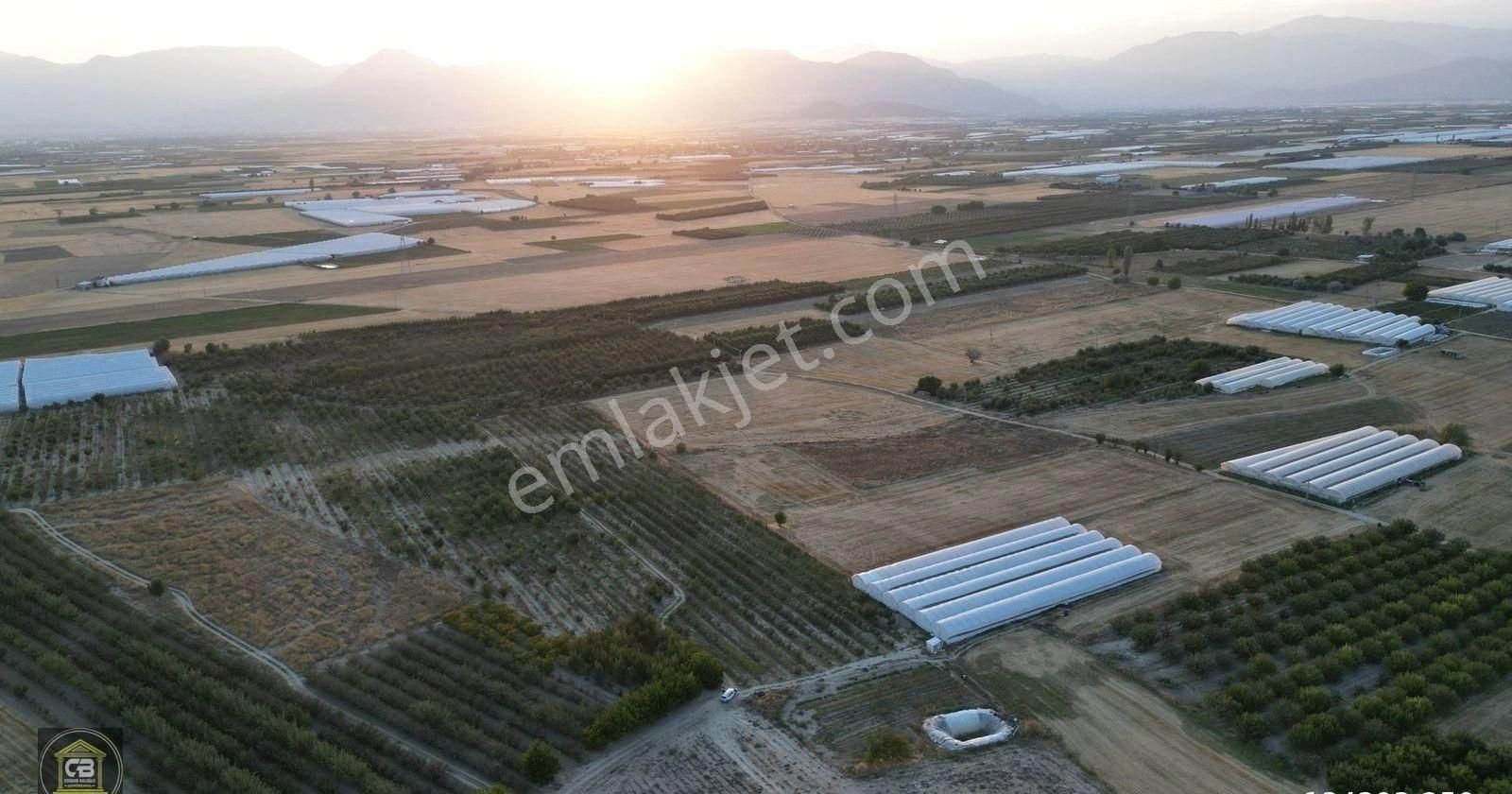 Yakaçiftlik Mahallesinde 10.230 M² Bakımlı Elma Bahçesi Satılıktır - Görsel 3