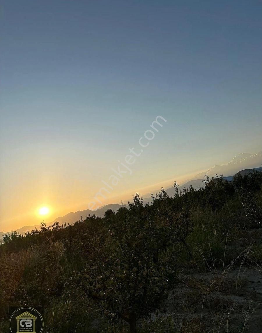 Yakaçiftlik Mahallesinde 10.230 M² Bakımlı Elma Bahçesi Satılıktır - Görsel 26