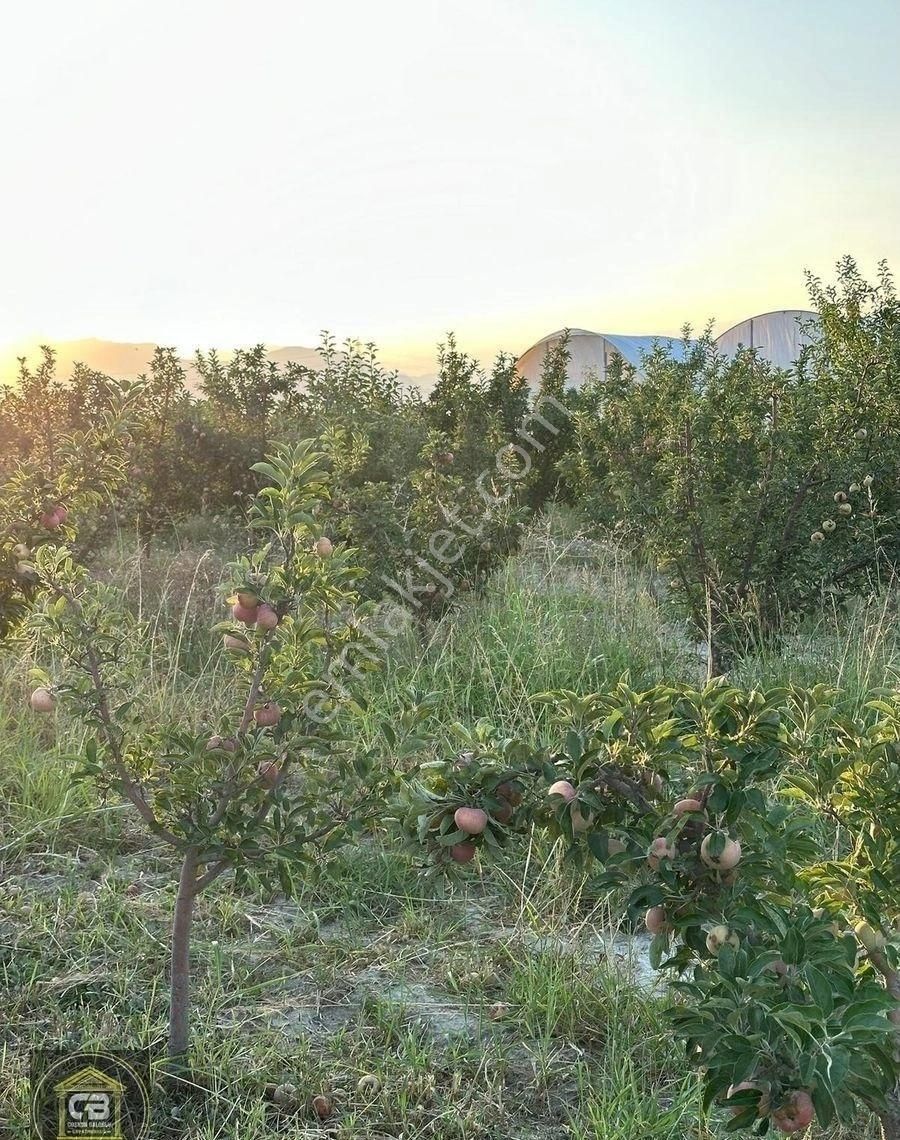 Yakaçiftlik Mahallesinde 10.230 M² Bakımlı Elma Bahçesi Satılıktır - Görsel 23