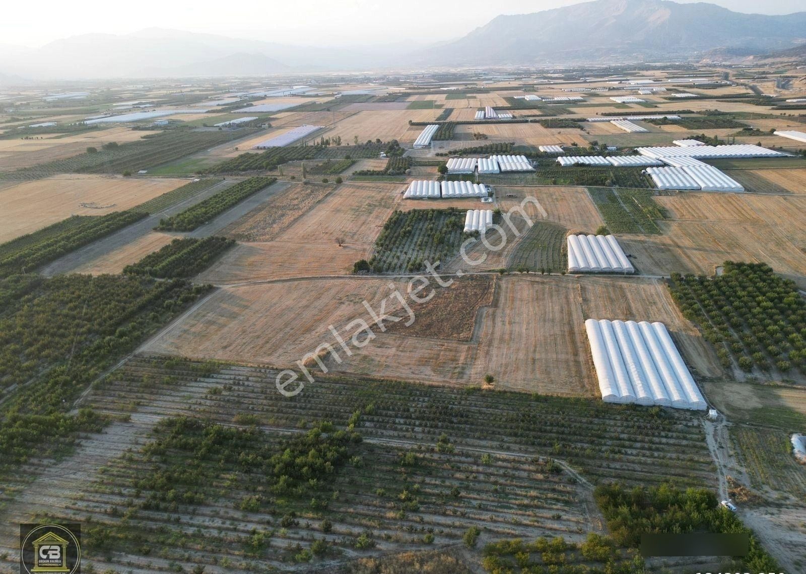 Yakaçiftlik Mahallesinde 10.230 M² Bakımlı Elma Bahçesi Satılıktır - Görsel 5