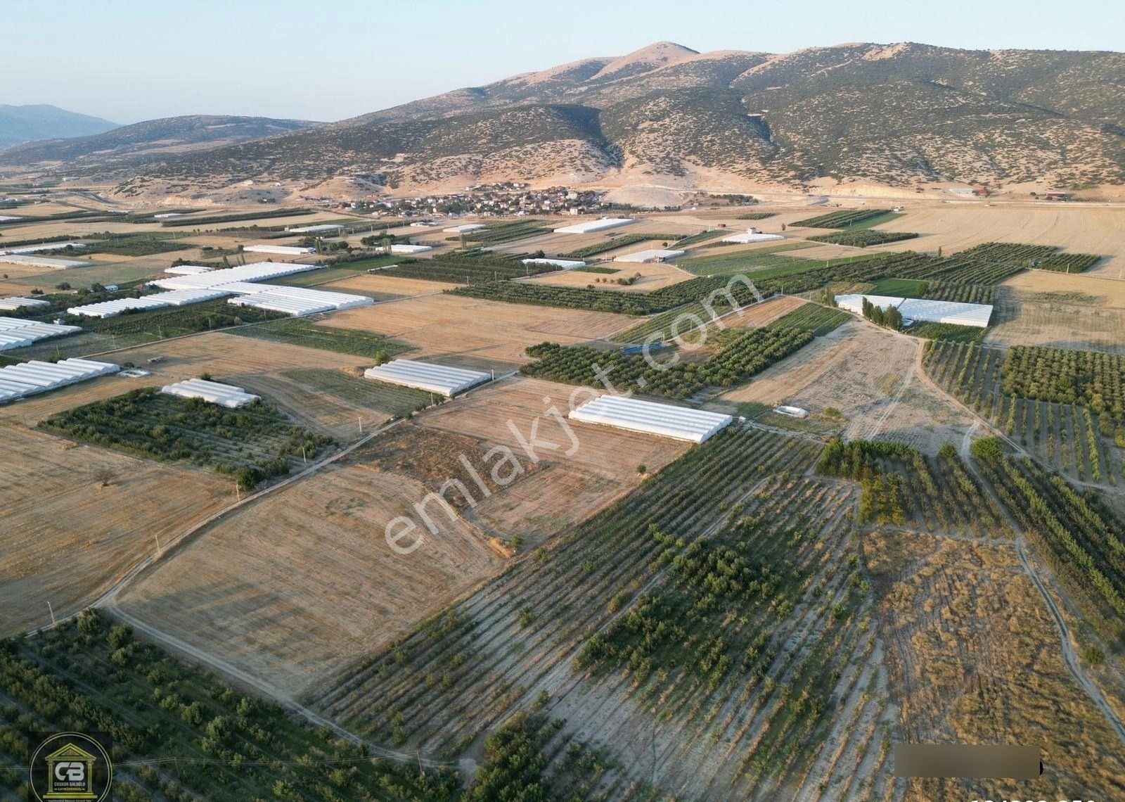 Yakaçiftlik Mahallesinde 10.230 M² Bakımlı Elma Bahçesi Satılıktır - Görsel 8