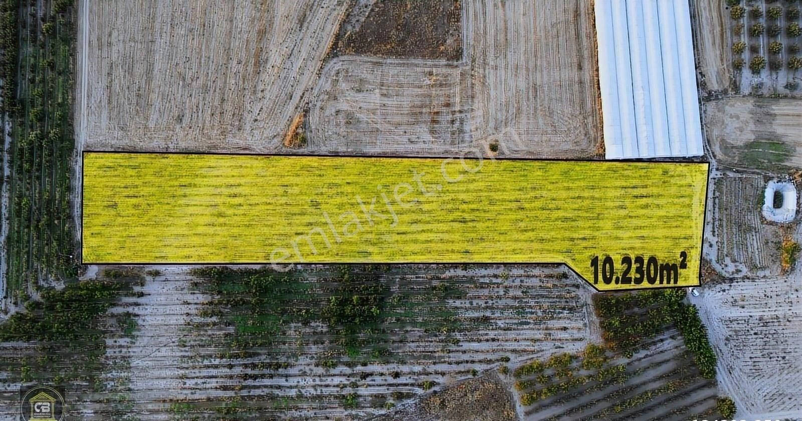 Yakaçiftlik Mahallesinde 10.230 M² Bakımlı Elma Bahçesi Satılıktır - Görsel 15