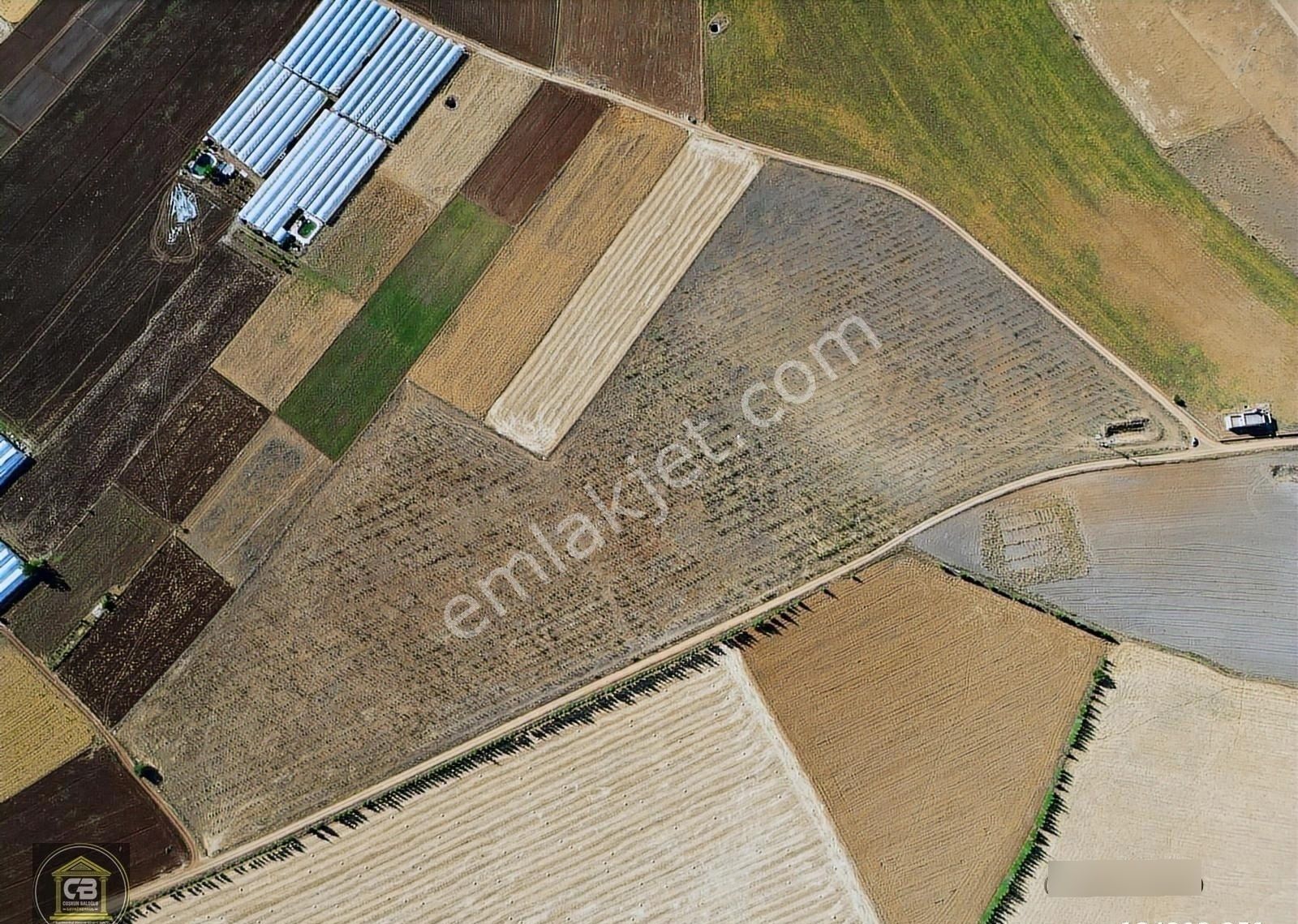 Kocapınar Mah 71.800 M² Elma Bahçesi Satılıktır - Görsel 5