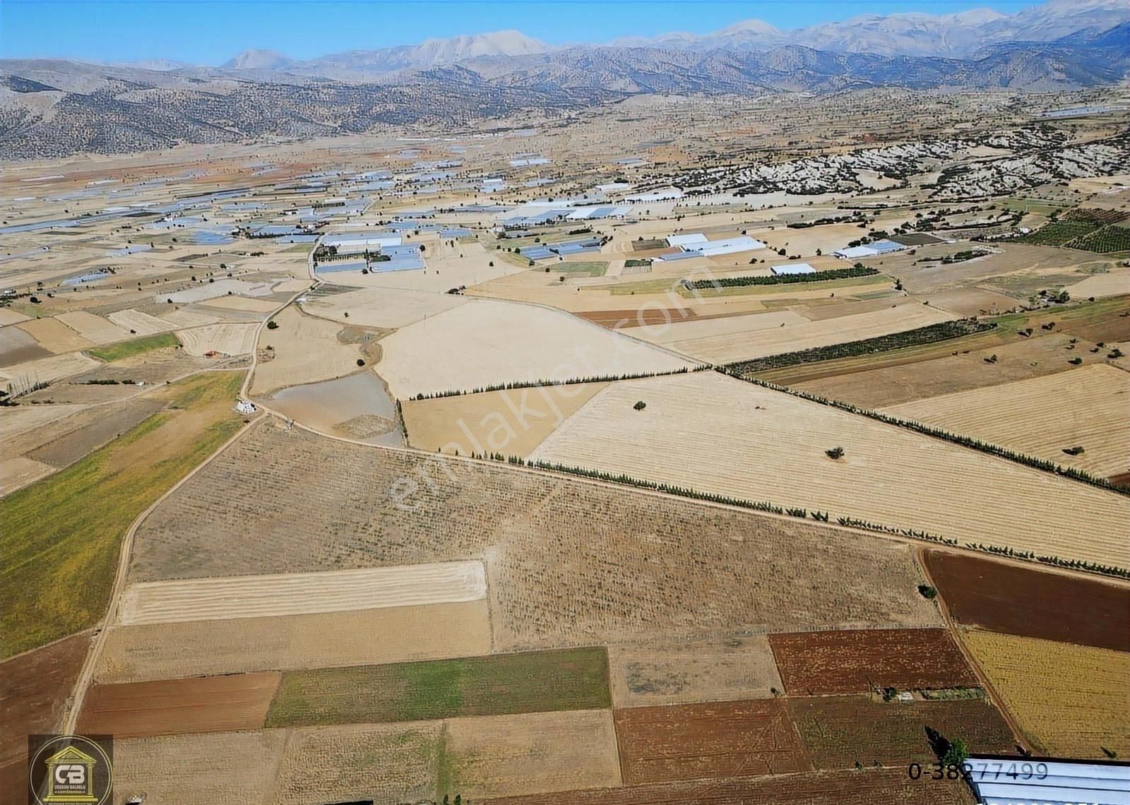 Kocapınar Mah 71.800 M² Elma Bahçesi Satılıktır - Görsel 12