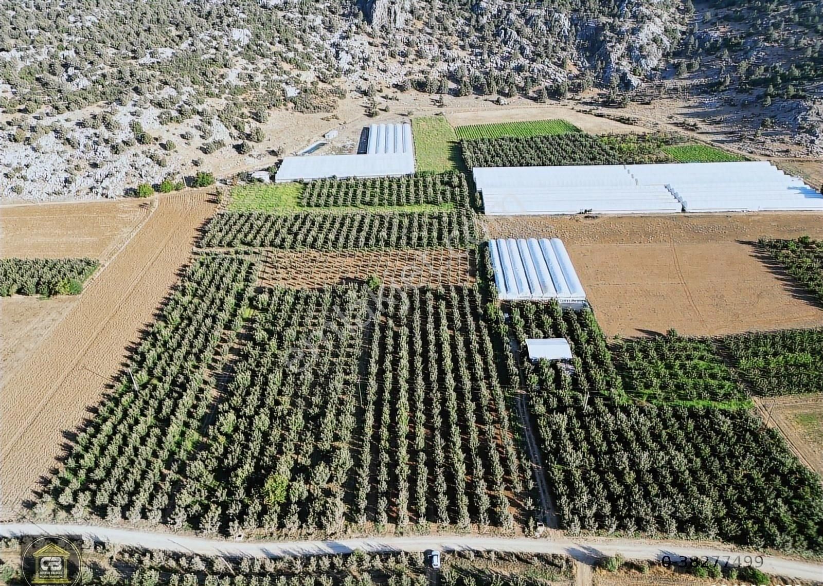 Elmalı Zümrütova Mah. 5.680 M² Bakımlı Elma Bahçesi Satılıktır - Görsel 29