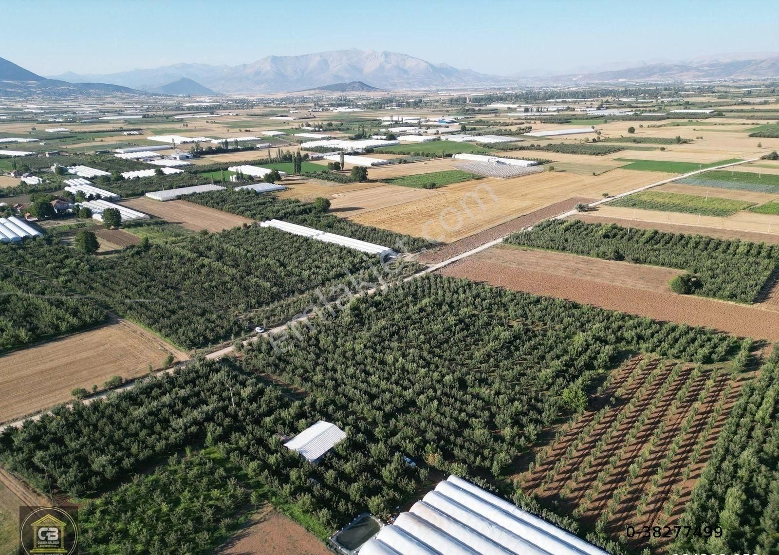 Elmalı Zümrütova Mah. 5.680 M² Bakımlı Elma Bahçesi Satılıktır - Görsel 8