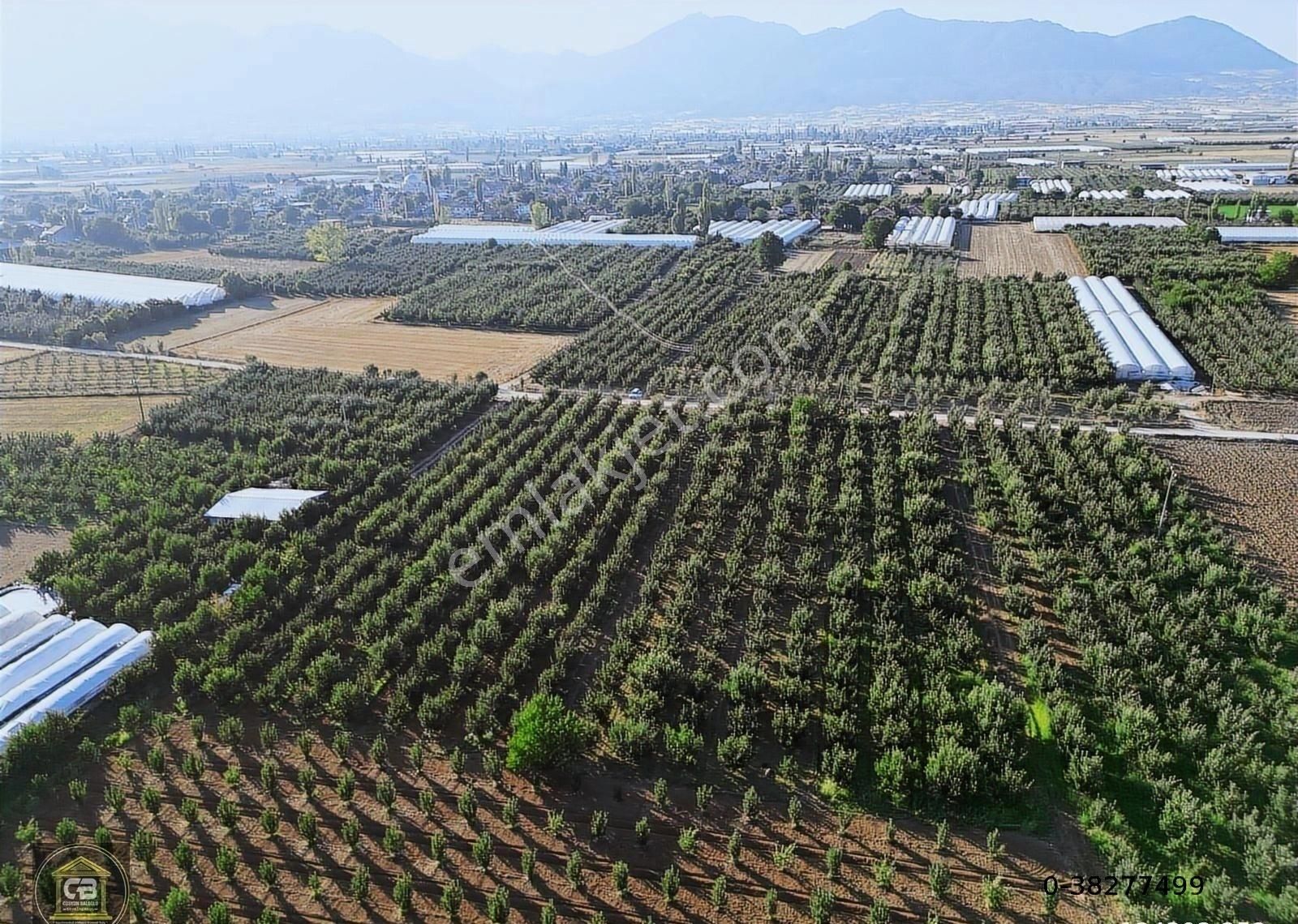 Elmalı Zümrütova Mah. 5.680 M² Bakımlı Elma Bahçesi Satılıktır - Görsel 6
