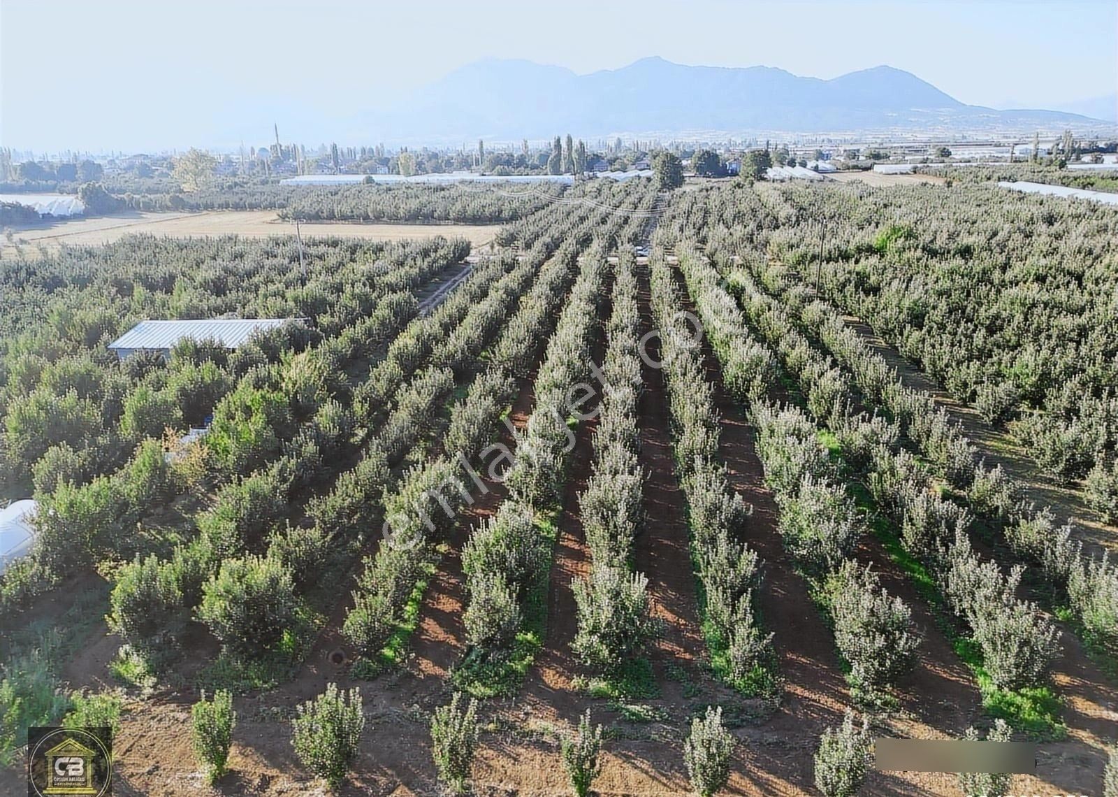 Elmalı Zümrütova Mah. 5.680 M² Bakımlı Elma Bahçesi Satılıktır - Görsel 24