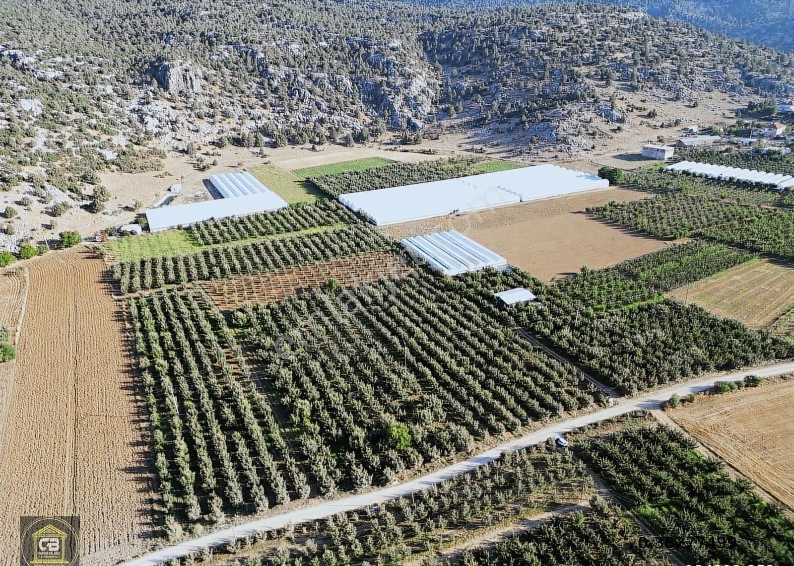 Elmalı Zümrütova Mah. 5.680 M² Bakımlı Elma Bahçesi Satılıktır - Görsel 25