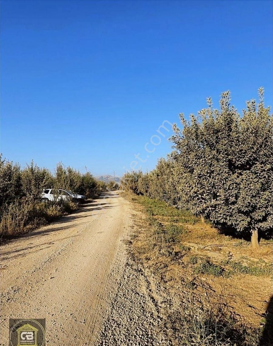 Elmalı Zümrütova Mah. 5.680 M² Bakımlı Elma Bahçesi Satılıktır - Görsel 12