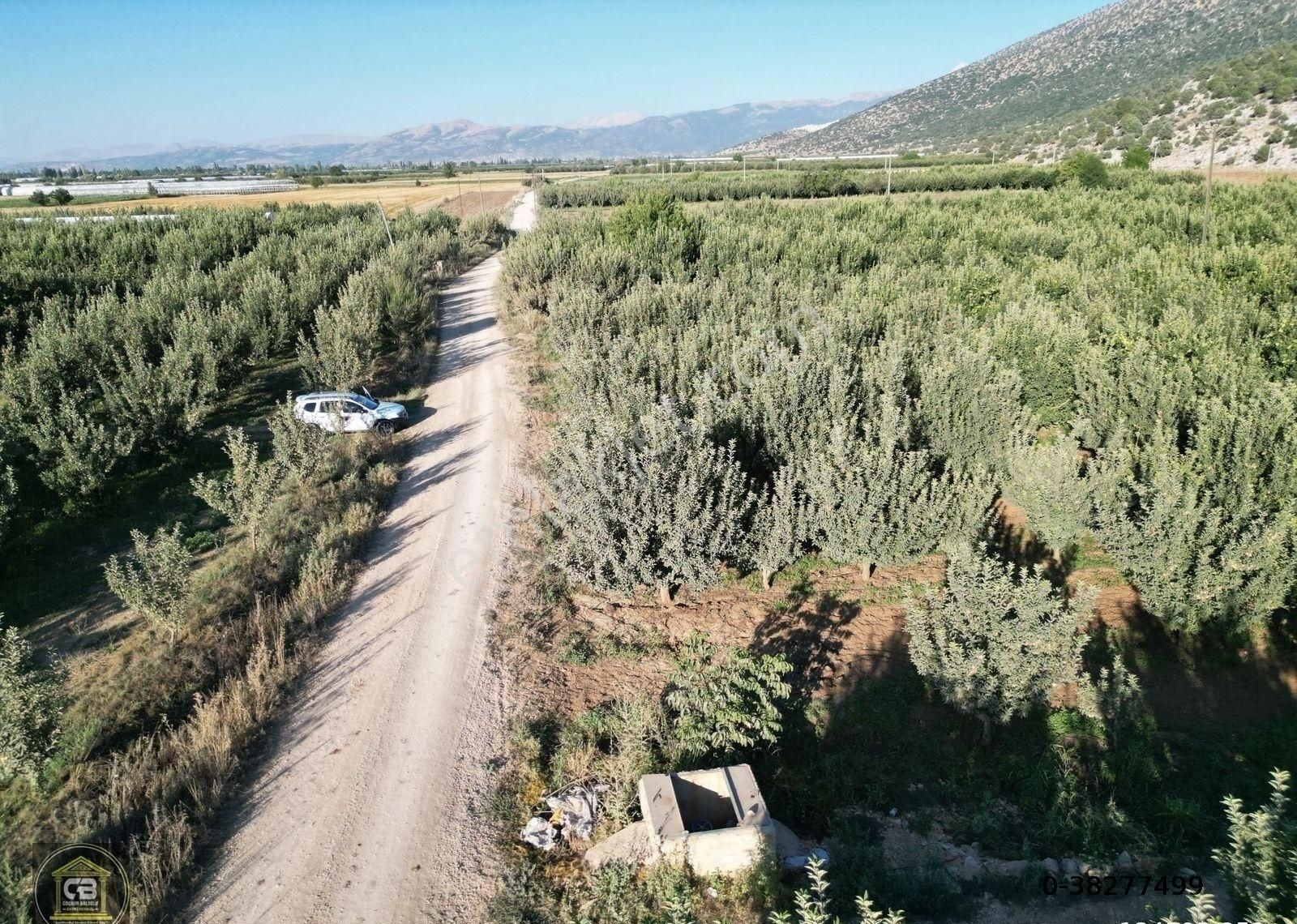 Elmalı Zümrütova Mah. 5.680 M² Bakımlı Elma Bahçesi Satılıktır - Görsel 28