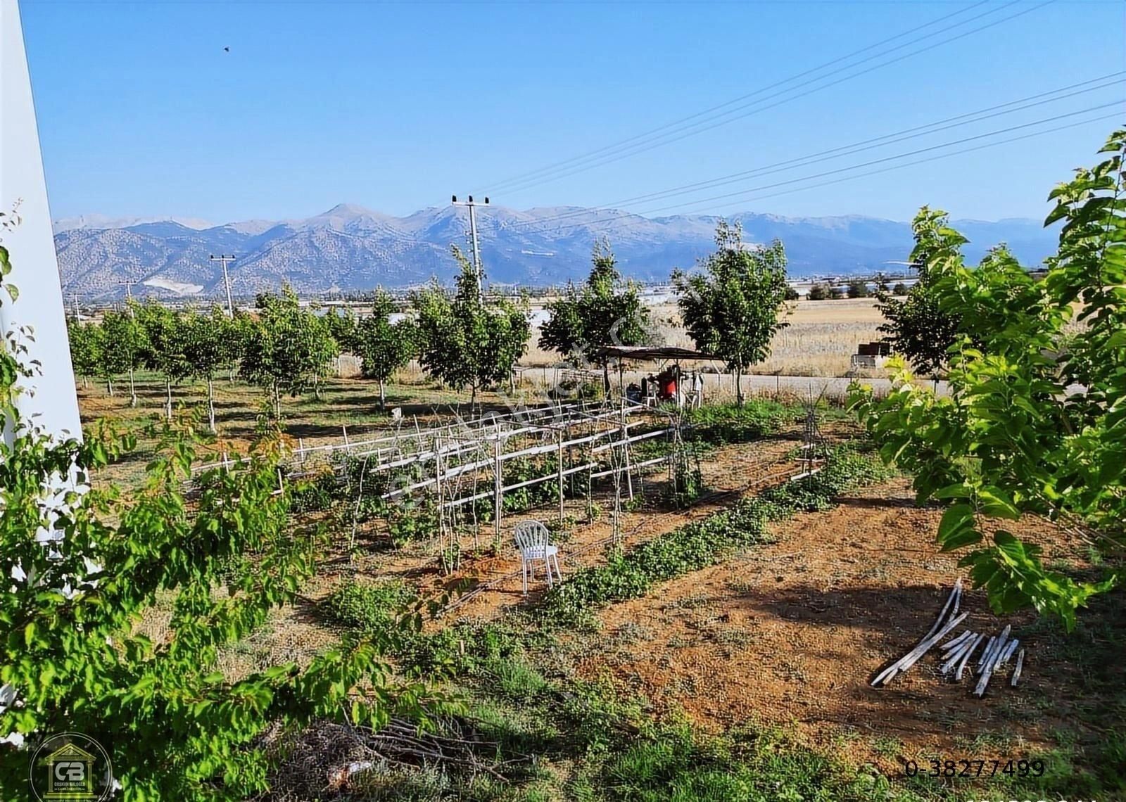 Hacımusalar Mah.10.630 M² 2 Katlı Ev Ve Hobi Bah. Satılıktır - Görsel 34