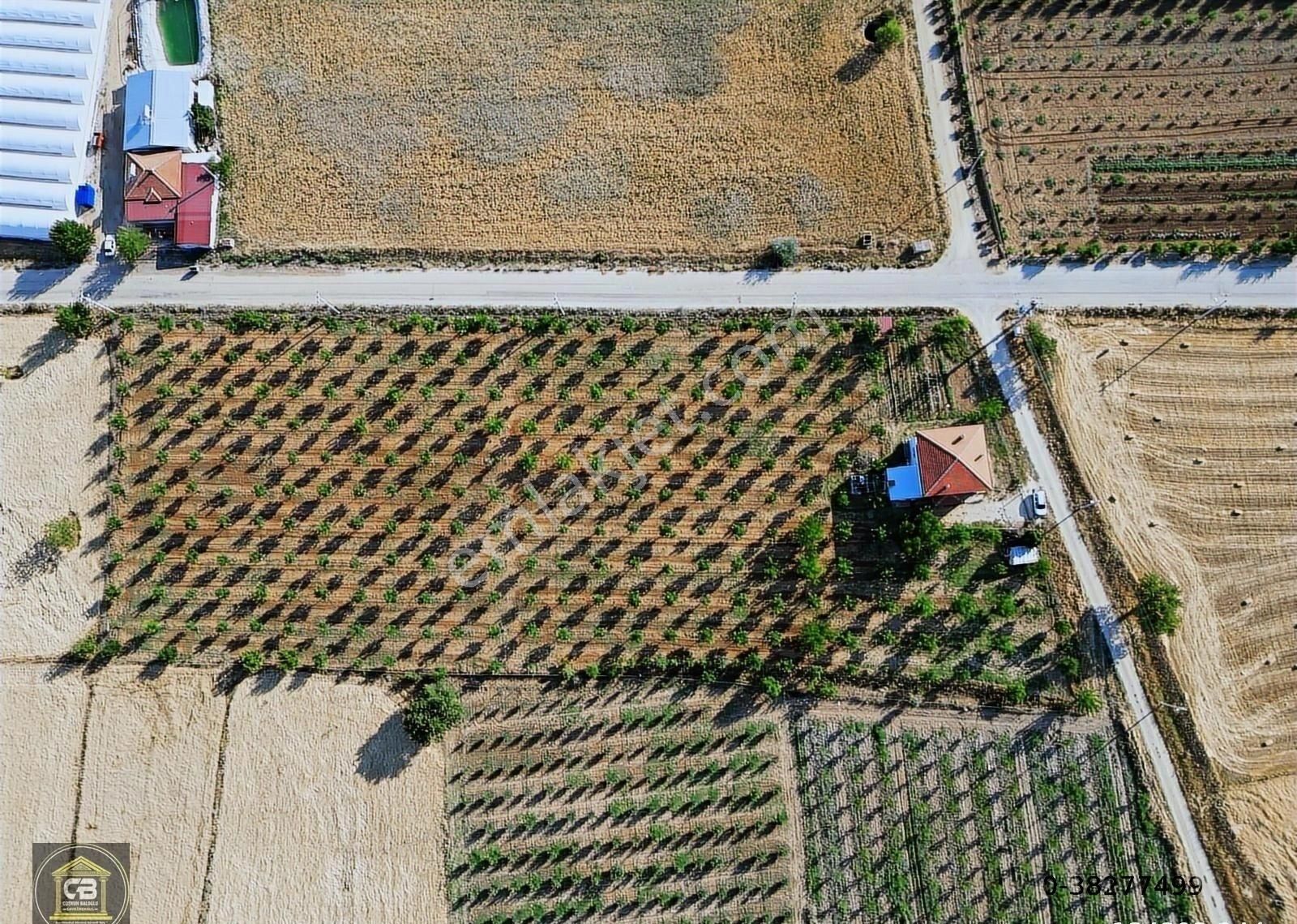 Hacımusalar Mah.10.630 M² 2 Katlı Ev Ve Hobi Bah. Satılıktır - Görsel 8