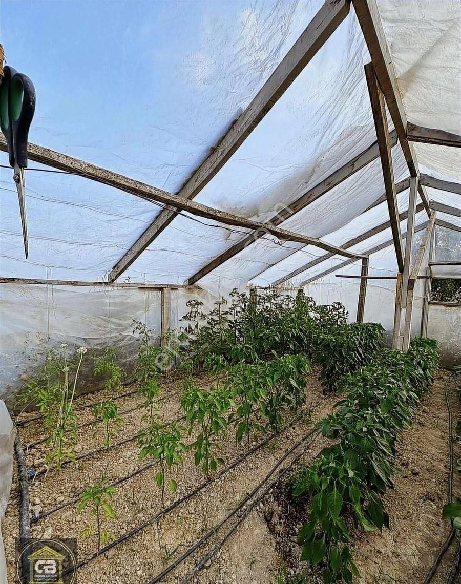 Likya Şarap Evi Karş. 2.800 M² Hobi Bahçesi Satılıktır - Görsel 22