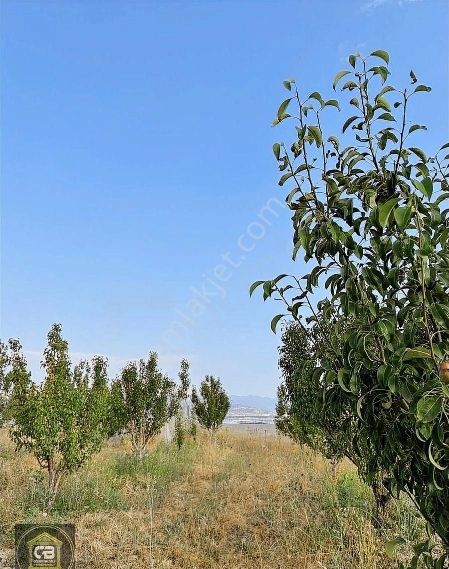 Likya Şarap Evi Karş. 2.800 M² Hobi Bahçesi Satılıktır - Görsel 24