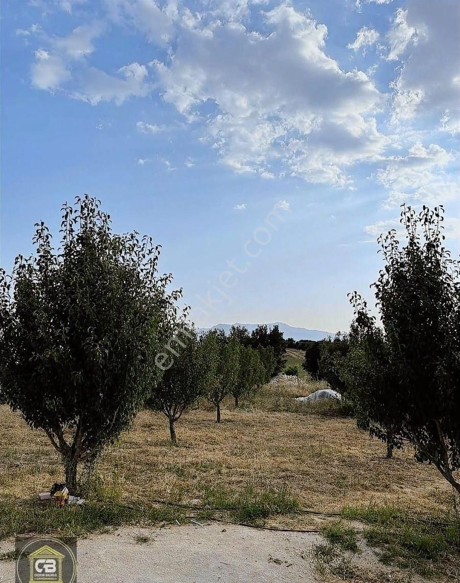 Likya Şarap Evi Karş. 2.800 M² Hobi Bahçesi Satılıktır - Görsel 13