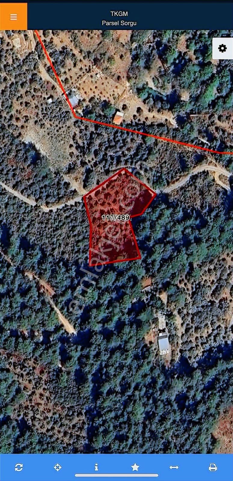 Aşağı Kızılcada 3.105 M² Yola Cepheli Müstakil Zeytinli Tarla! - Görsel 14