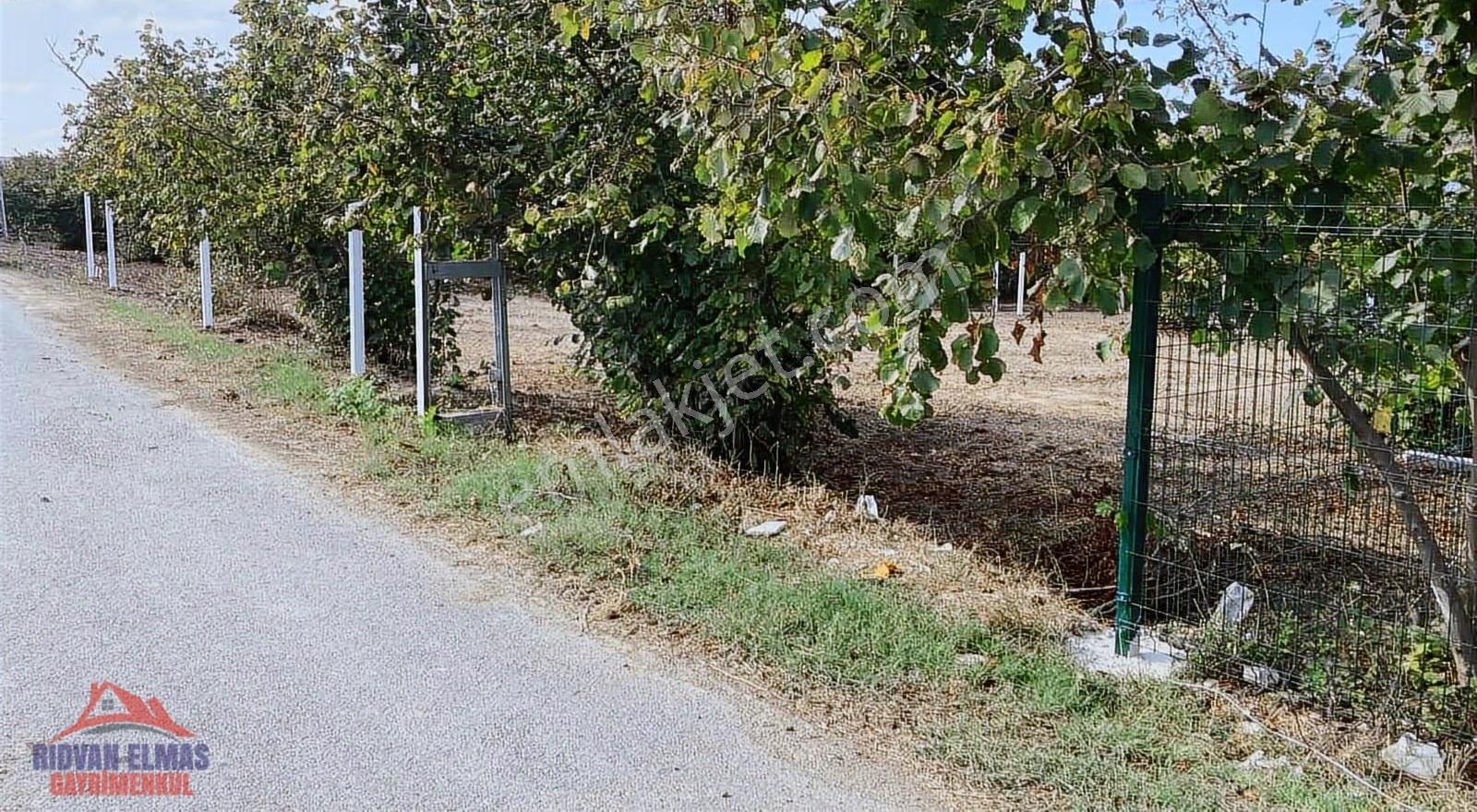 Sakarya Kaynarca Satılık Arsa - Görsel 8