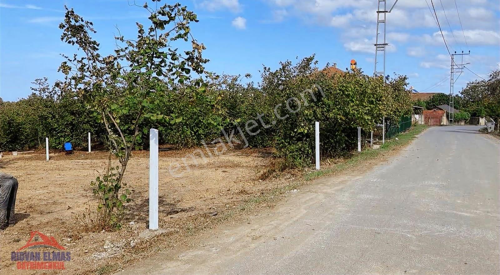 Sakarya Kaynarca Satılık Arsa - Görsel 5