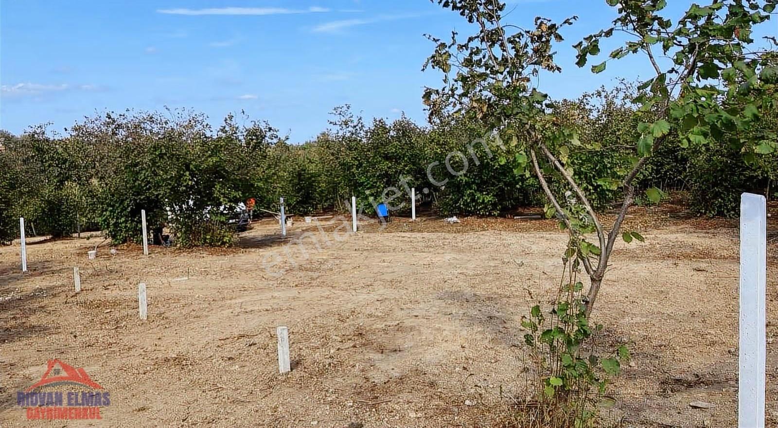 Sakarya Kaynarca Satılık Arsa - Görsel 6