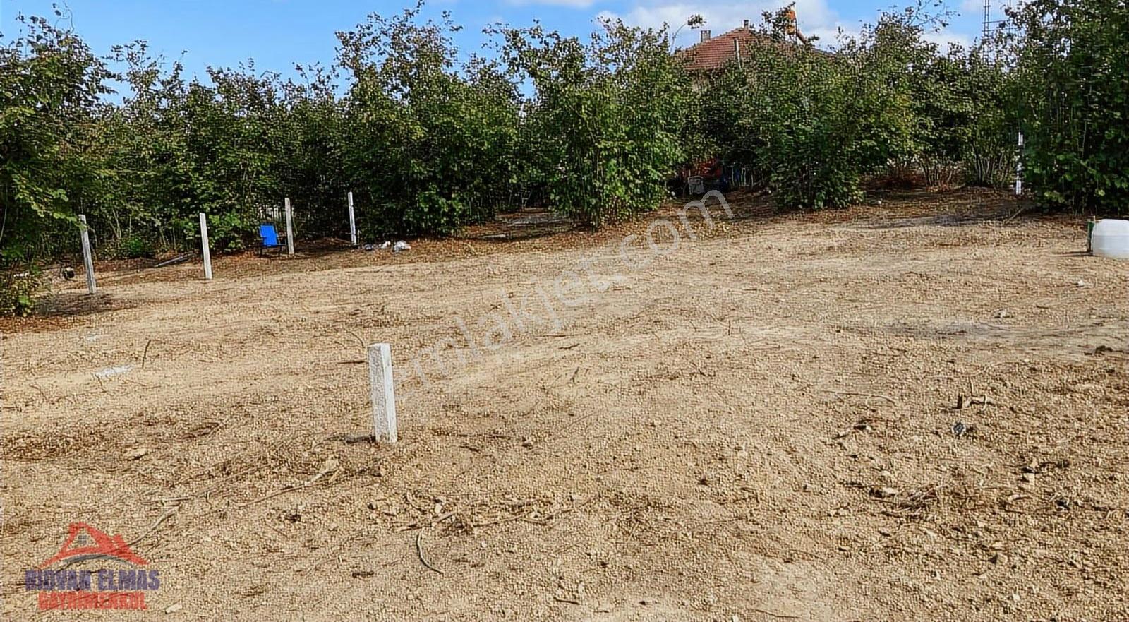 Sakarya Kaynarca Satılık Arsa