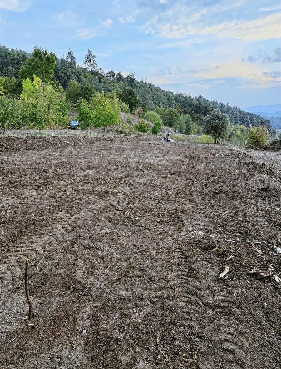 Bu Başka Bir Arsa Eşi Benzeri Kesinlikle Yok - Görsel 5