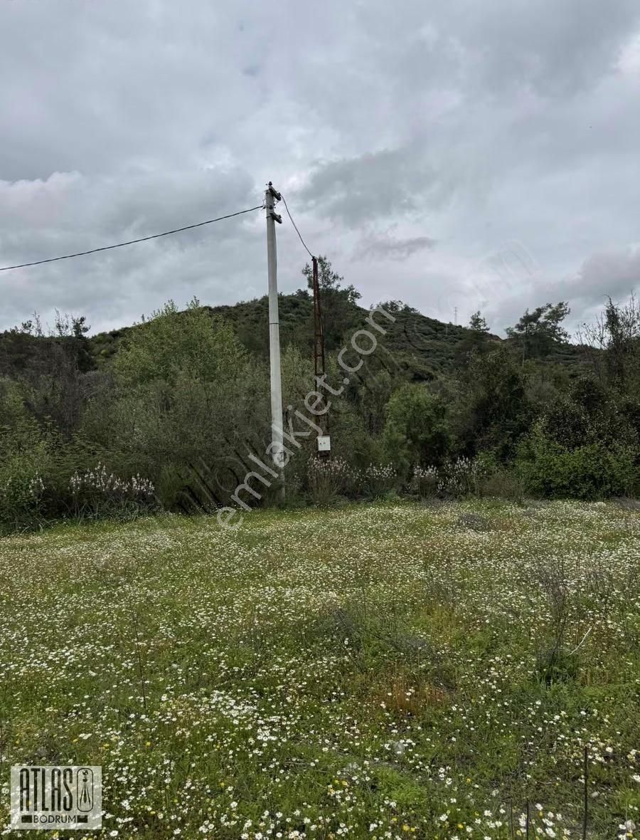 Muğla Ula Karabörtlen Mahallesi Satılık Eğimsiz Tarla - Görsel 3