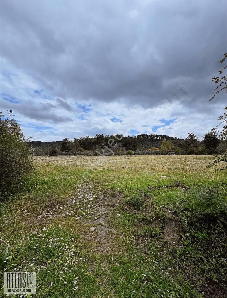 Muğla Ula Karabörtlen Mahallesi Satılık Eğimsiz Tarla