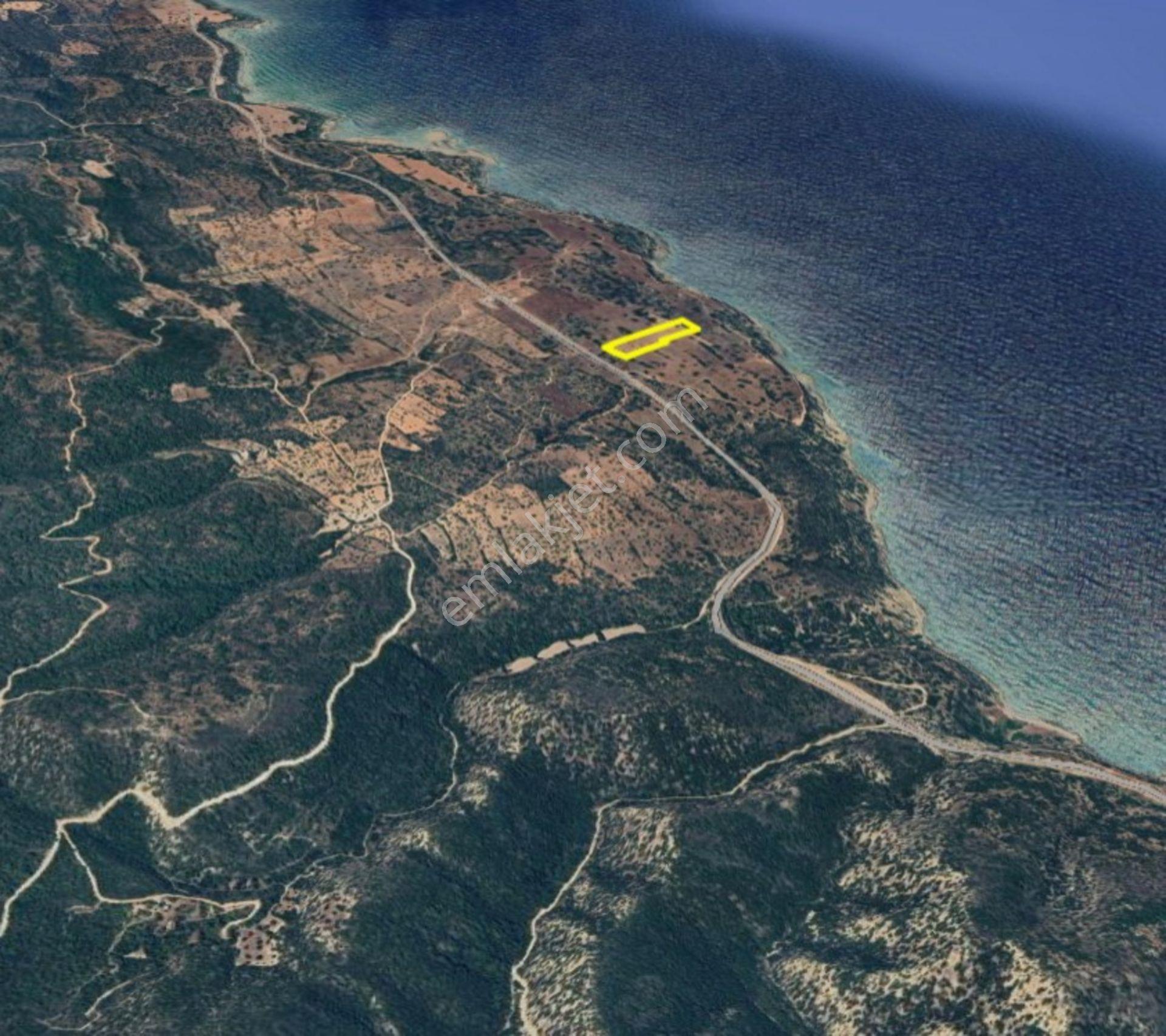Deniz Manzaralı Yedikonuk Da 8 Dönüm Fırsat Arazi - Görsel 2