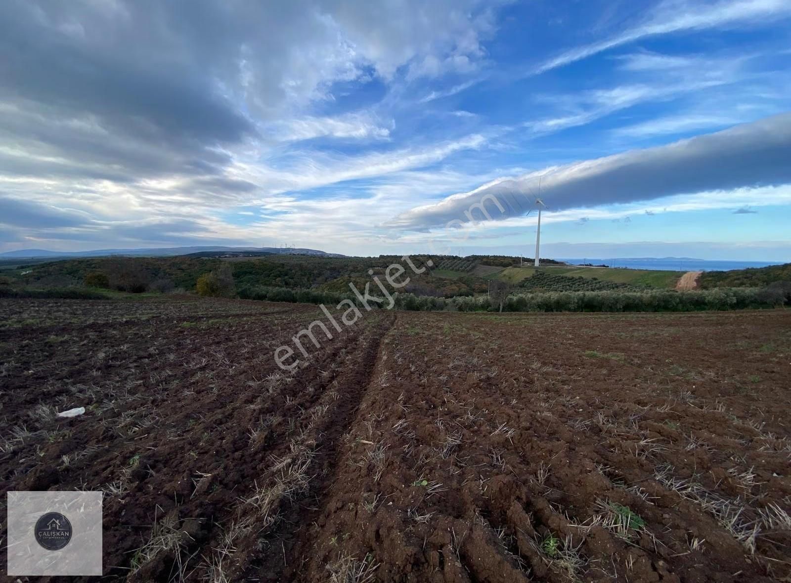 Mudanya Söğütpınar Deniz Manzaralı Yola Cephe Fırsat Tarla - Görsel 4