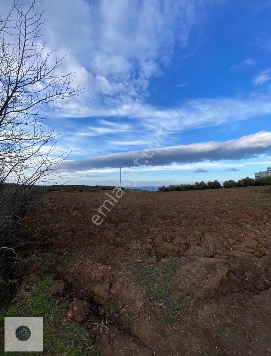 Mudanya Söğütpınar Deniz Manzaralı Yola Cephe Fırsat Tarla - Görsel 3