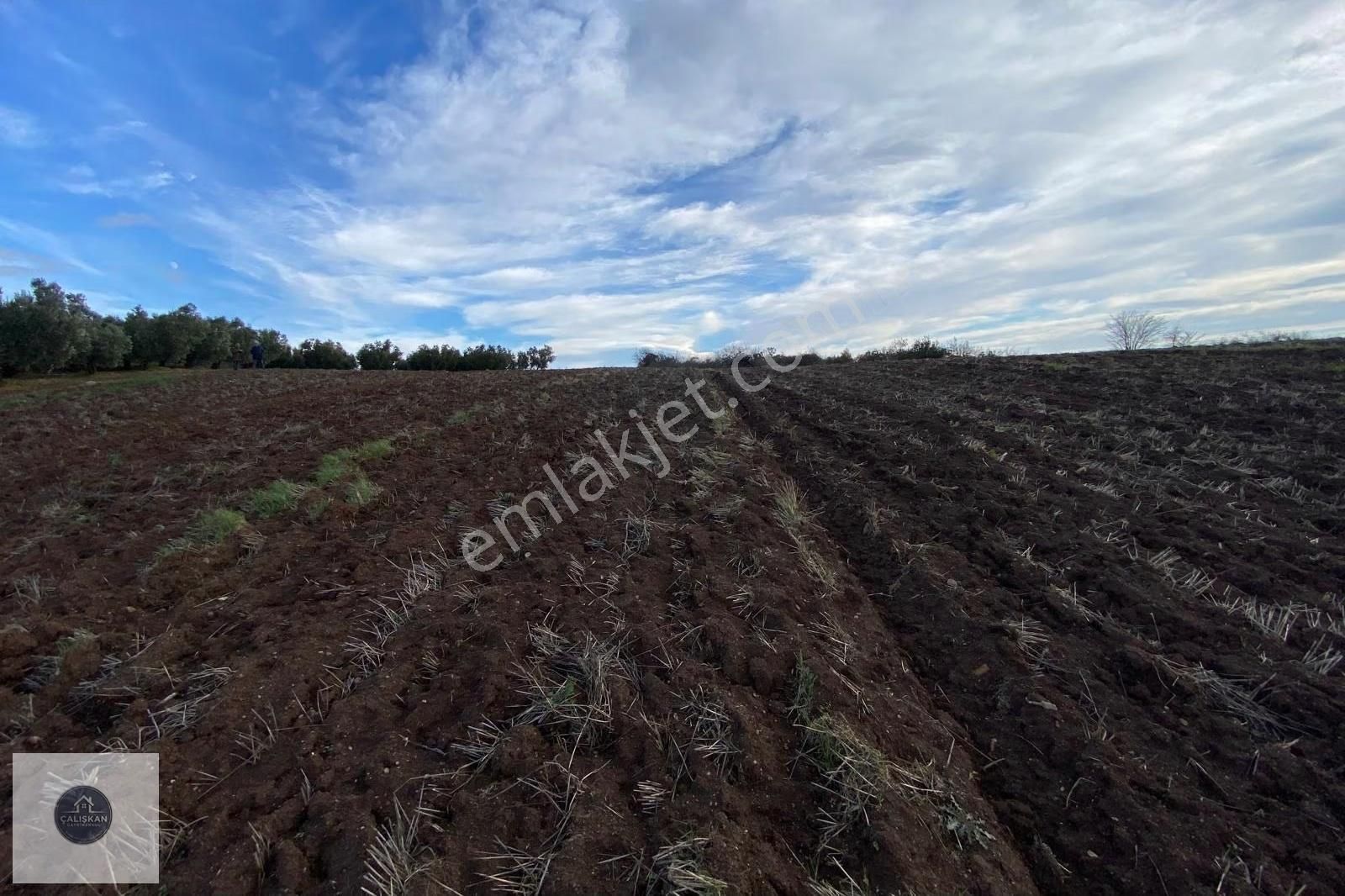 Mudanya Söğütpınar Deniz Manzaralı Yola Cephe Fırsat Tarla - Görsel 5