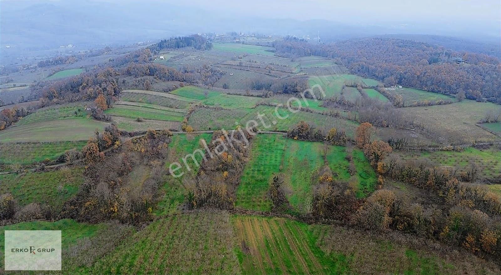 Erko Grup Gayrimenkul Den Şeyhler Mah 29,300 M2 Satılık Arazi - Görsel 17